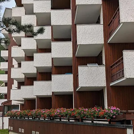 Fonctionnel Avec Balcon, Animaux Admis - Fr-1-811-25 Les Deux Alpes